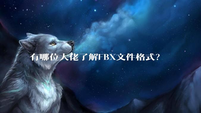 有哪位大佬了解FBX文件格式？