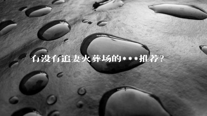 有没有追妻火葬场的***推荐？