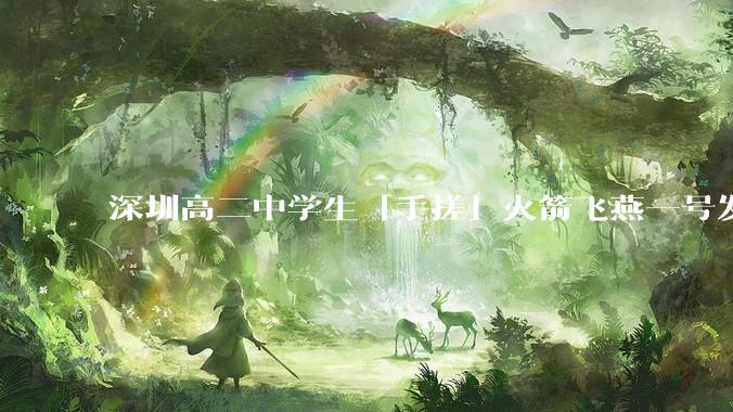 深圳高二中学生「手搓」火箭飞燕一号发射成功，突破 10KM 海拔高度，这属于什么水平？手搓火箭有多难？