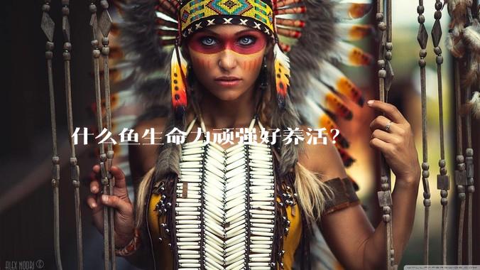 什么鱼生命力顽强好养活？
